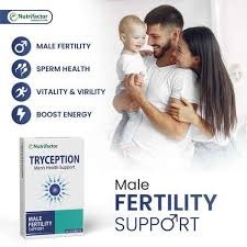 Maxiflex Cream In Kenya In Kenya? Tryception Men's Health Support
HealthSupplementsKenya is the place to shop. In addition, the service for the customer is pleasant. Also, you can call them using telephone number +254723408602. However, you can visit their office in 2nd Floor Of Nacico Coop Chamber On Mondlane Street Opposite Imenti House.

How does Maxiflex Cream In Kenya 